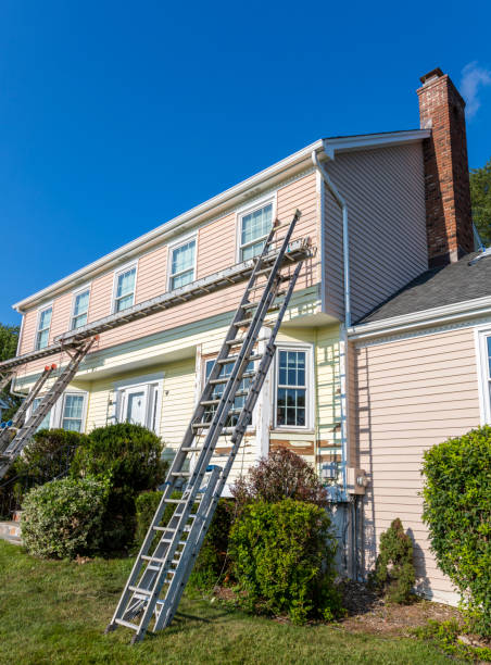 Best Shed Removal  in New Madrid, MO